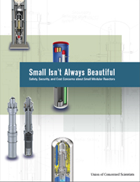 edited 24-page report Small Isn't Always Beautiful: Safety, Security, and Cost Concerns About Small Modular Reactors, September 2013